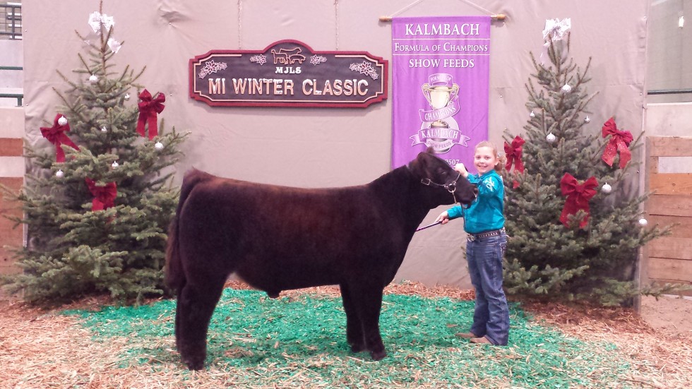 Michigan winter beef result, I80 steer First place class winner
