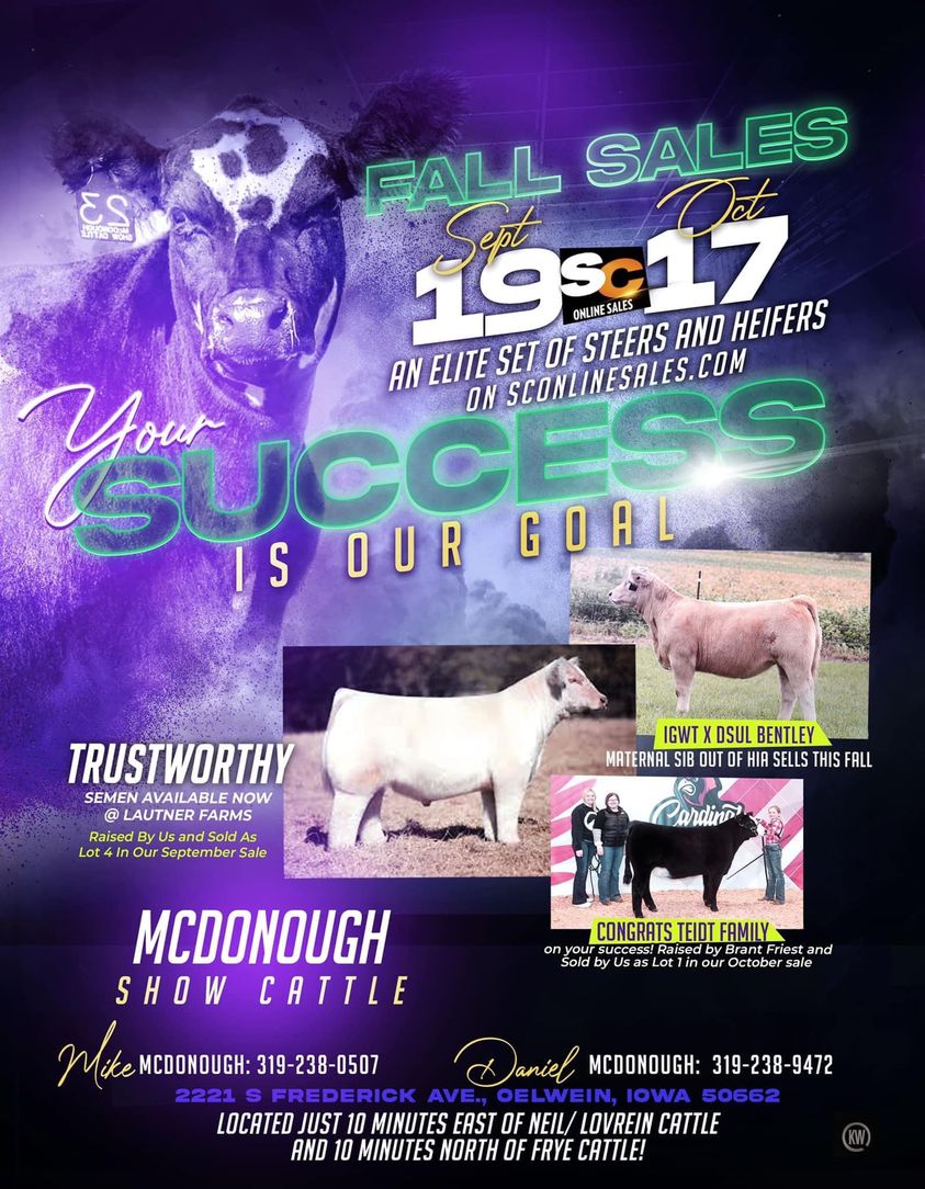 McDonough Show Cattle Online Sale on SC Online Sales Sept. 19th & Oct ...