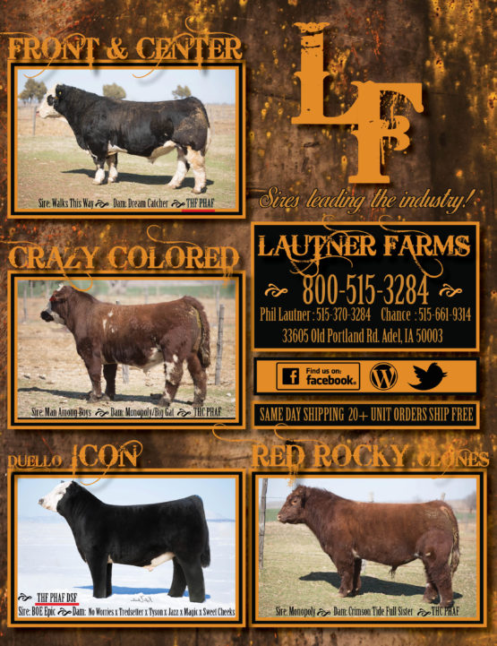 Lautner Farms Sires Leading The Industry Call Today To Order Your