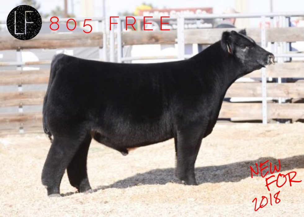 Breed to 805 Free | Lautner Farms